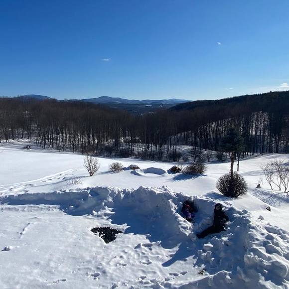 Amanda Vladyka - Poshmark Profile Picture of Amanda Vladyka (@abeth22) on Poshmark