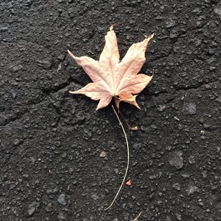 Profile Picture of Lorena (@lorena.wong) on Instagram