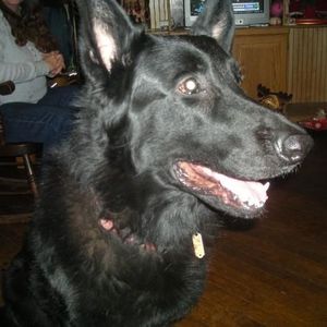 Profile Picture of Austin Holloway (@austin_theboy) on Myspace