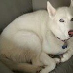 Profile Picture of Steven McCready (@mccr3328) on Instagram