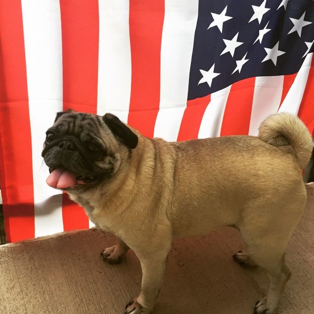 Profile Picture of Grace Johnson# (@@dixie.johnson) on Tiktok