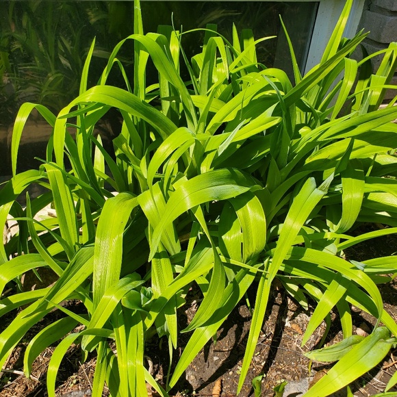 Profile Picture of Candice Gillett (@candice_gillett) on Poshmark