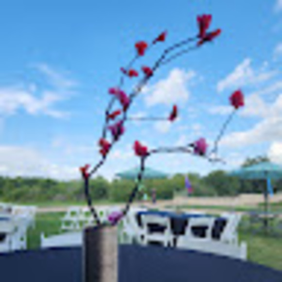 Profile Picture of Lori Benson (@loriabenson2) on Poshmark