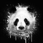 Profile Picture of Tyler Stiles (@tyler_stiles1) on Instagram