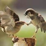 Profile Picture of Quat Nguyen (@quat.nguyen.96) on Instagram