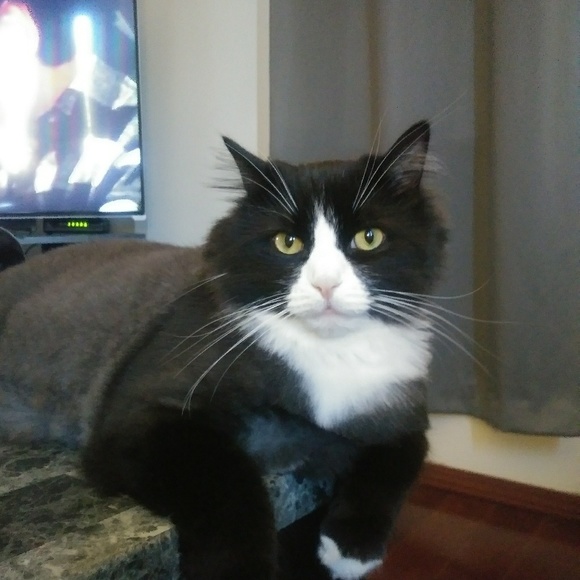 Profile Picture of Matthew Taylor (@suicyco) on Poshmark