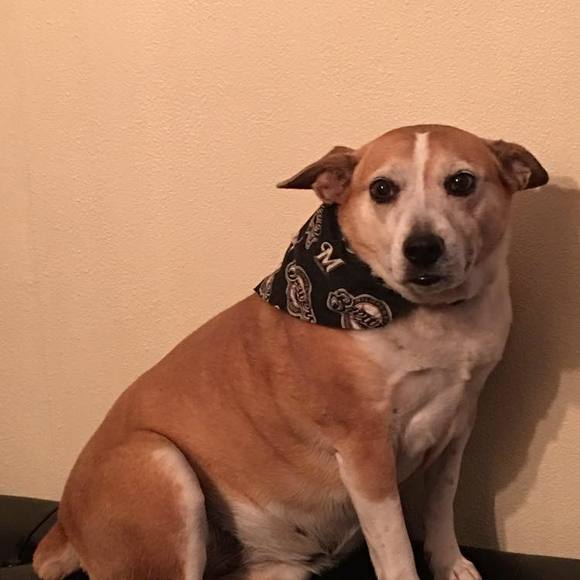 Profile Picture of Helen Mashak (@helenmashak) on Poshmark