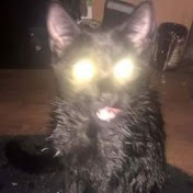 Profile Picture of Thomas Clegg (@thomasclegg4348) on Youtube