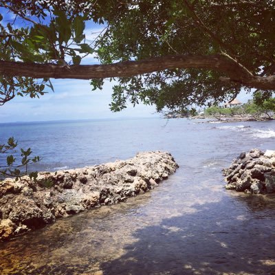 Profile Picture of Maria Clara Arango (@mariaclararango) on Twitter