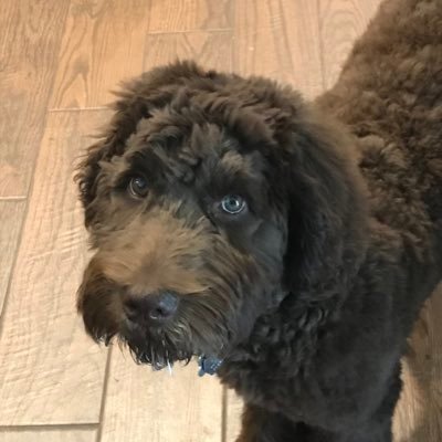Profile Picture of Chase Waring (@WaringChase) on Twitter