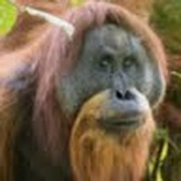 Profile Picture of Angelo Dominick (@angelo-dominick) on Quora