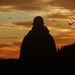 Profile Picture of John Peter Grütters (@grtters) on Pinterest