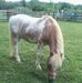 Profile Picture of Phyllis Mcgrath (@phyllis.mcgrath.543) on Facebook