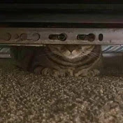 Profile Picture of Jon Charles (@joncharles303) on Youtube