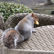 Profile Picture of Mark Lemon (@marklemon4762) on Youtube