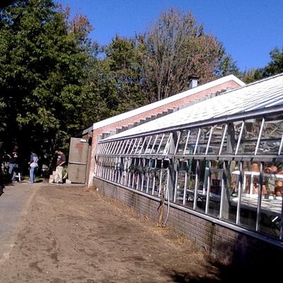 Profile Picture of Andrew Tanguay (@snowball961) on Twitter