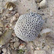 Profile Picture of David Painter (@davidpainter7981) on Youtube