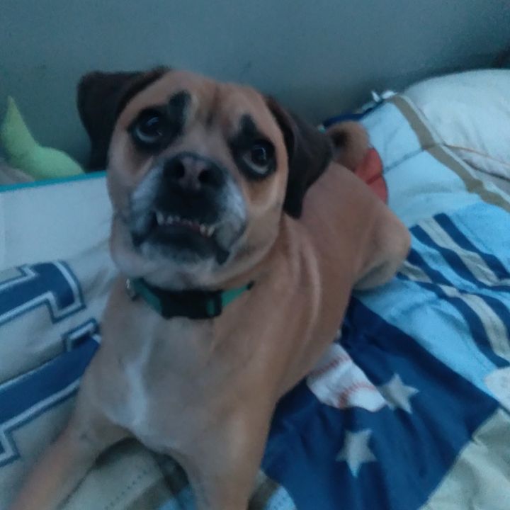 Profile Picture of Marshall.Stanton (@marshall.stanton) on Tiktok