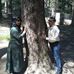 Profile Picture of Raj Mittal (@raj.mittal.37454) on Facebook