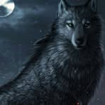 Profile Picture of Dustin Reitz (@Dustin-Reitz) on Facebook