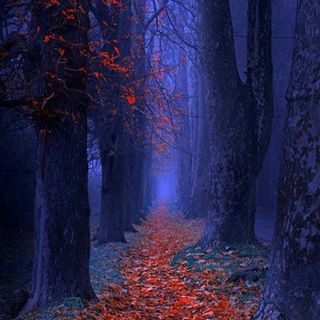 Profile Picture of Gypsy Davis (@gypsy.davis.98) on Facebook