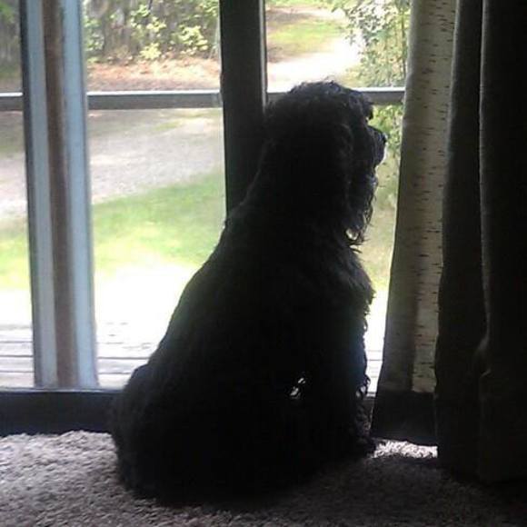 Profile Picture of Gloria Papillon (@gloriapapillon) on Poshmark