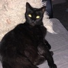 Profile Picture of Helen Ellis (@@helenellis31) on Tiktok