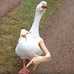 Profile Picture of Luke parnell (@luke_p411) on Instagram