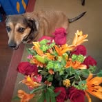 Profile Picture of Shirley Macuch (@shirley.macuch.7) on Facebook