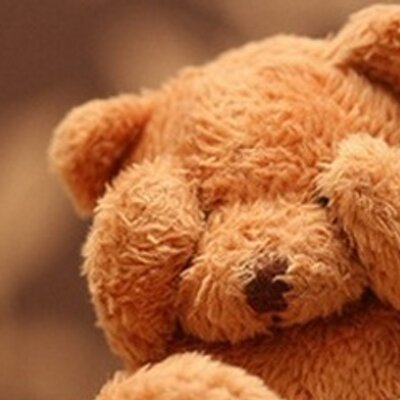 Profile Picture of David Stefan (@davidstefan1) on Twitter