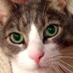 Profile Picture of Kathy Harrison (@freddie_kh) on Instagram