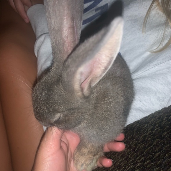 Profile Picture of Grace Vannoy (@gracevannoy) on Poshmark