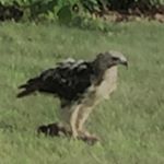 Profile Picture of Scott Thurman (@scootert68) on Instagram