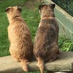 Profile Picture of Amanda Causer (@xadacdahadag4460) on Instagram