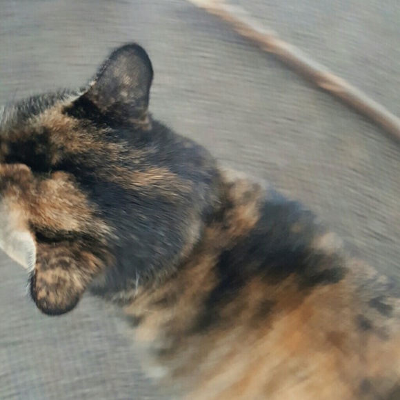 Profile Picture of George Kudla (@chloe123_____) on Poshmark