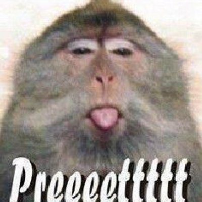 Profile Picture of StevenDemos (@StevenDemos901) on Twitter