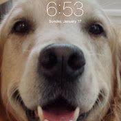 Profile Picture of Daniel Sager (@danielsager3904) on Youtube