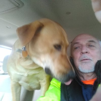 Profile Picture of Alva Lock (@LockAlva) on Twitter