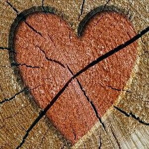 Profile Picture of Dawn Pressley241 (@dawnpressley241) on Tiktok