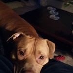 Profile Picture of Mitchell Thurman (@thurmanmitchell) on Instagram