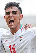 Profile Picture of Amir Roustaeion Wikipedia