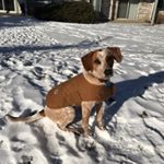 Profile Picture of Jacob Nordmann (@cattlemans_carpentry) on Instagram