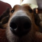 Profile Picture of Greg Stolle (@stollemon) on Instagram