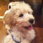 Ted Barker - Instagram Profile Picture of Ted Barker (@teddy_barker) on Instagram