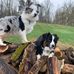 Profile Picture of Jerry Dellinger (@jerry.dellinger.94) on Facebook