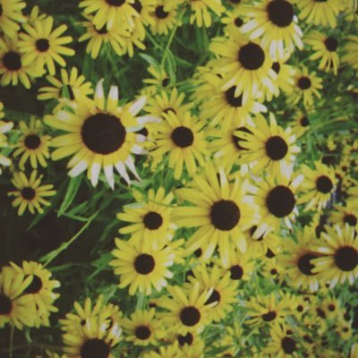 Profile Picture of Lucyhepp (@lucyhepp1) on Twitter