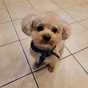 Profile Picture of Miea Kim (@mieakim4644) on Youtube