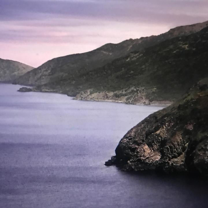 Profile Picture of Katy Hodges (@@katyhodges4) on Tiktok
