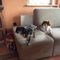 Profile Picture of Andrea Appel (@andrea.appel.121) on Facebook