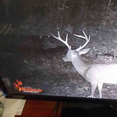 Profile Picture of richardgrooms4 (@richardgrooms4) on Tiktok